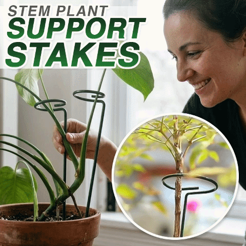 Stem Plant Support Stakes